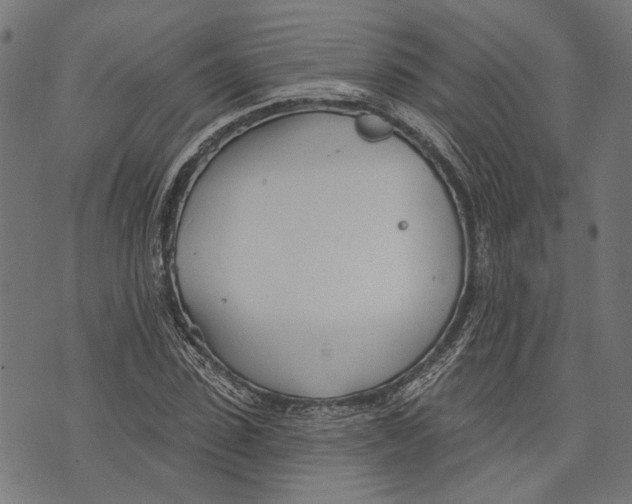 X0000073950923200609181357