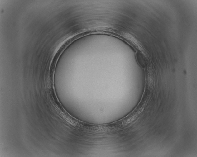 X0000073950924200609181357