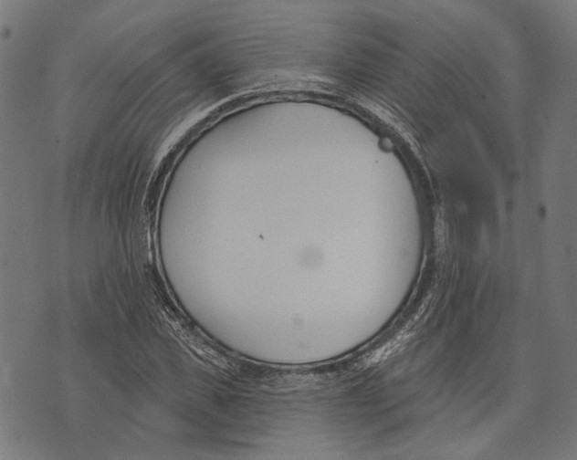 X0000073950925200609181357