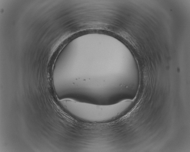 X0000073950926200609181357