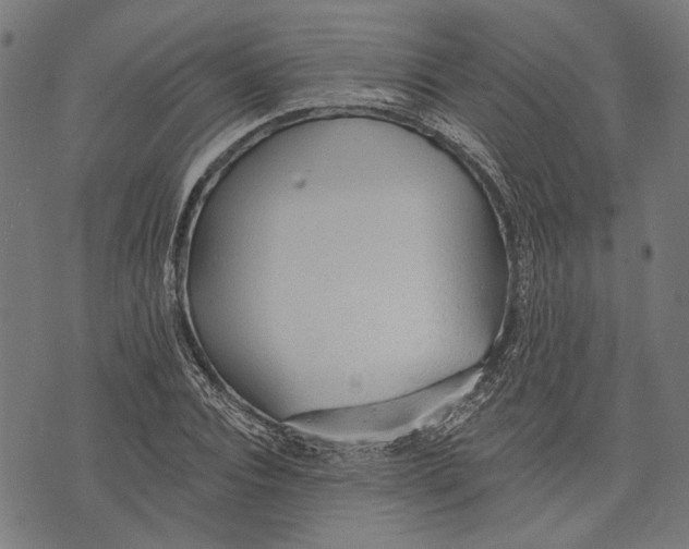 X0000073950928200609181357