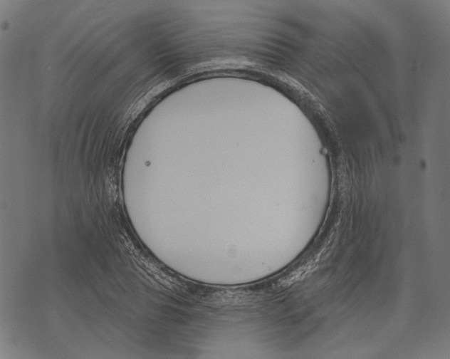 X0000073950929200609181357