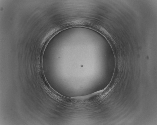 X0000073950930200609181357