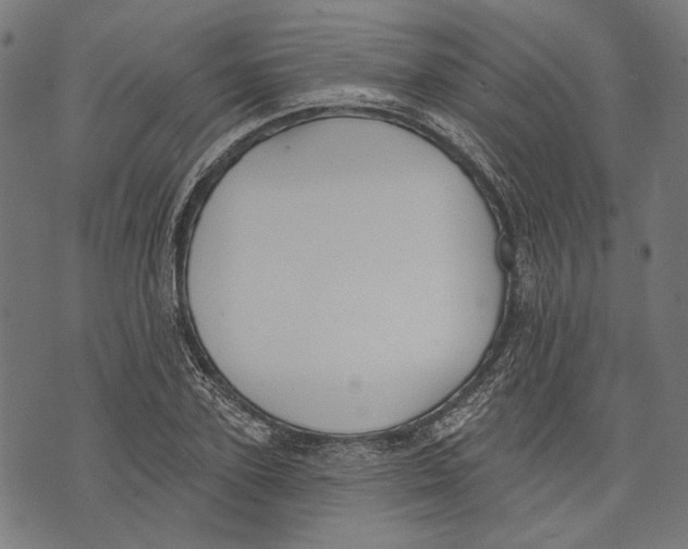 X0000073950931200609181357