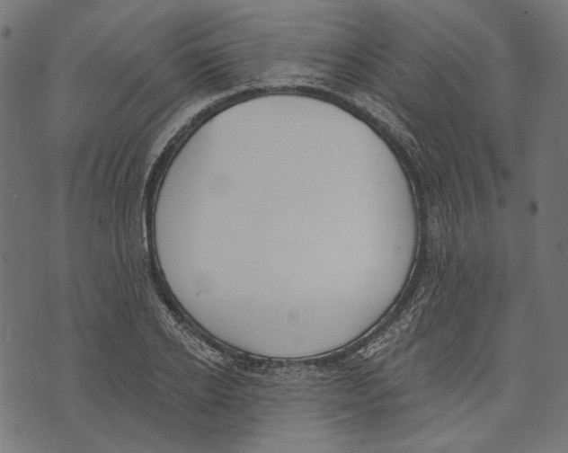 X0000073950934200609181357