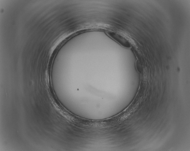 X0000073950936200609181357