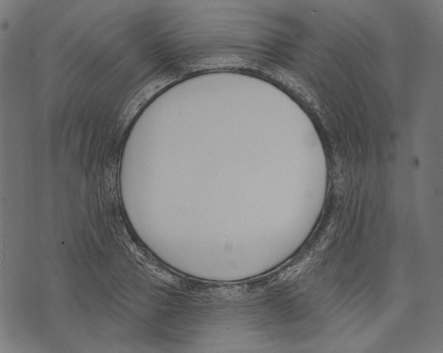 X0000073950937200609181357