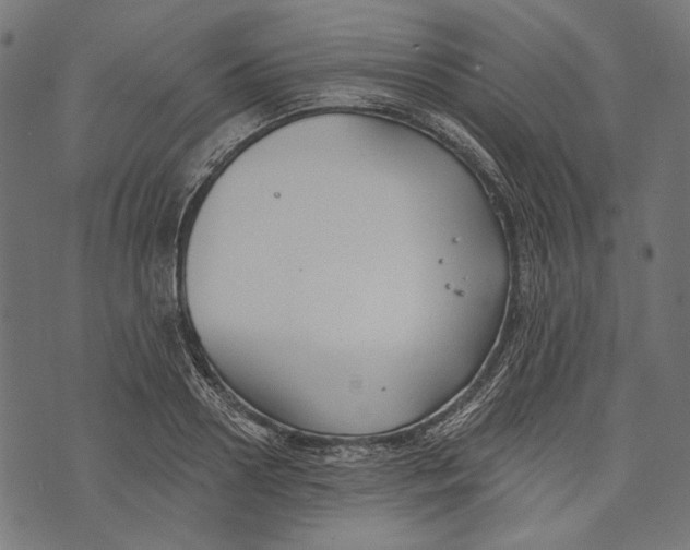 X0000073950938200609181357