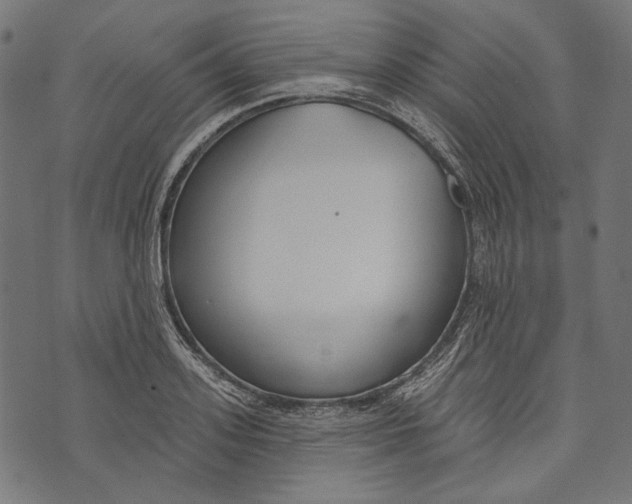 X0000073950939200609181357