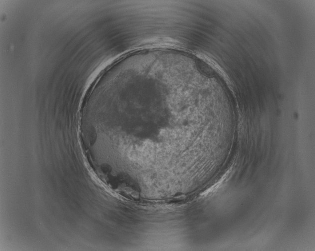 X0000073950941200609181357