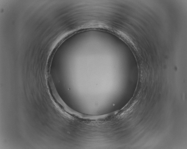 X0000073950942200609181357