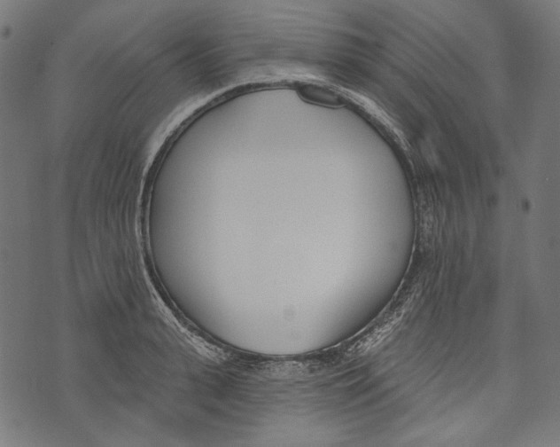 X0000073950943200609181357