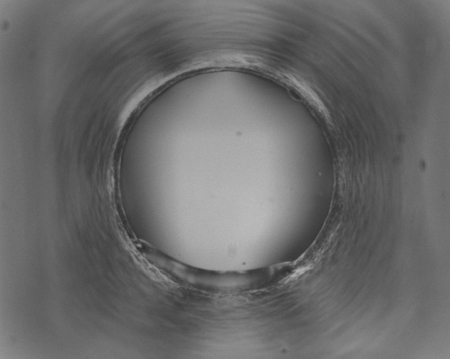 X0000073950944200609181357