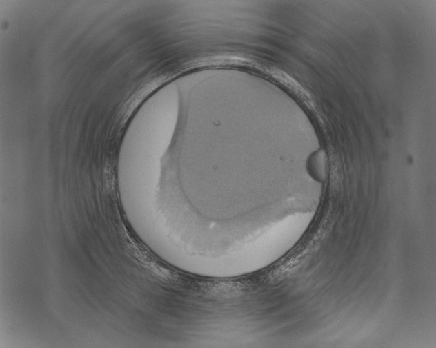 X0000073950945200609181357