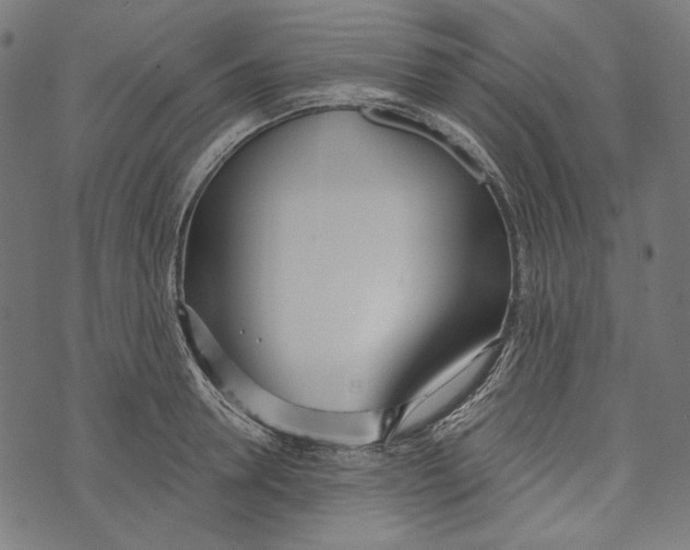 X0000073950946200609181358