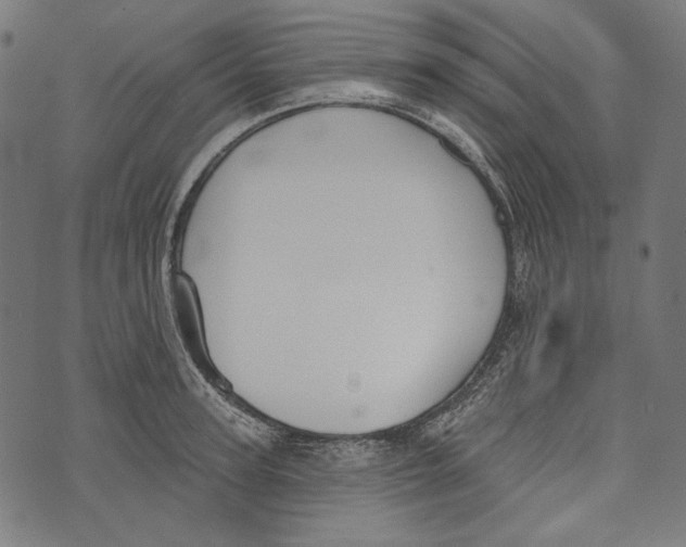 X0000073950947200609181358