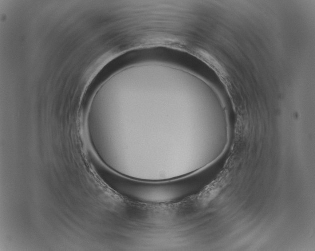 X0000073950948200609181358