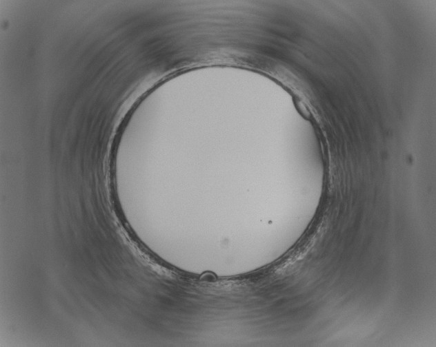 X0000073950949200609181358