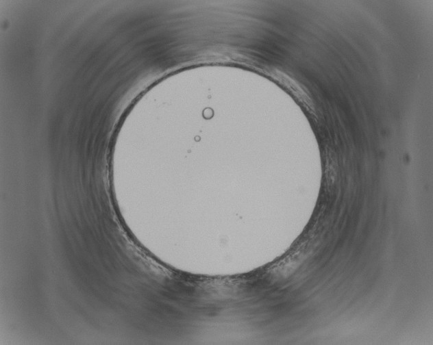 X0000073950950200609181358