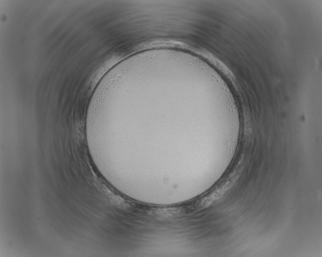 X0000073950953200609181358