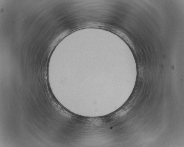 X0000073950954200609181358