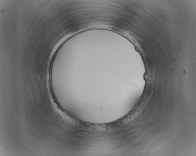 X0000073950955200609181358