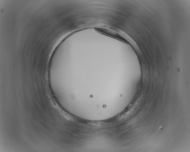 X0000073950956200609181358