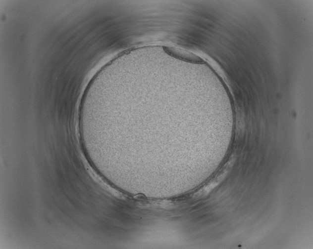 X0000073950957200609181358