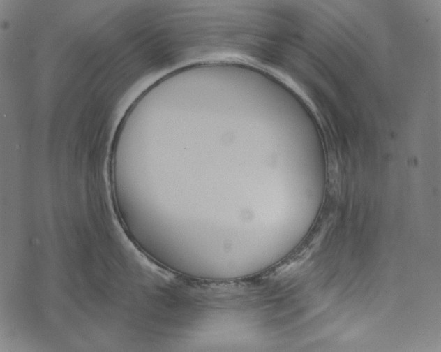 X0000073950959200609181358