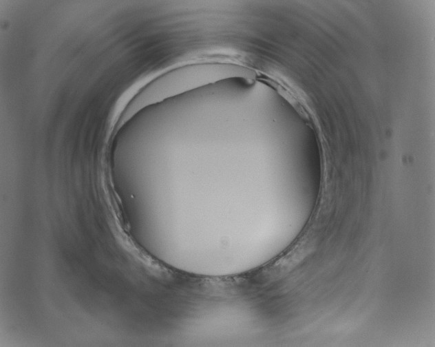 X0000073950960200609181358