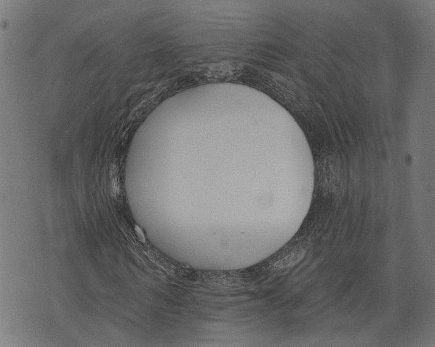 X0000073950962200609181357