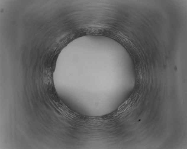 X0000073950964200609181357