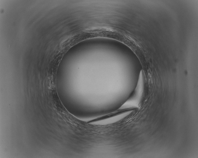 X0000073950965200609181357