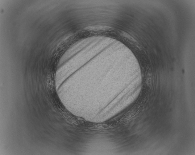 X0000073950966200609181357