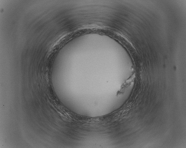 X0000073950968200609181357