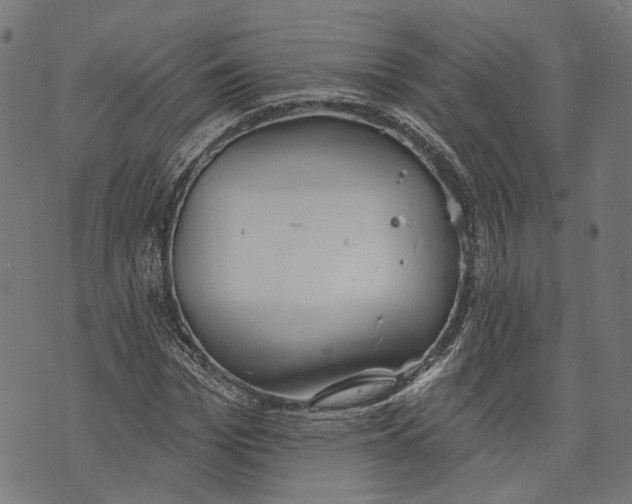 X0000073950969200609181357