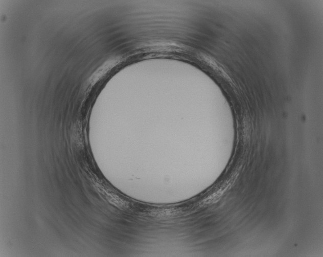 X0000073950970200609181357