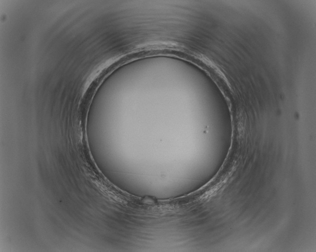 X0000073950973200609181357