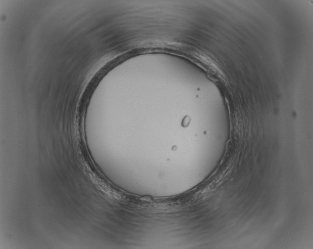 X0000073950976200609181357