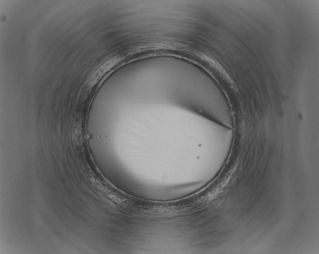 X0000073950977200609181357