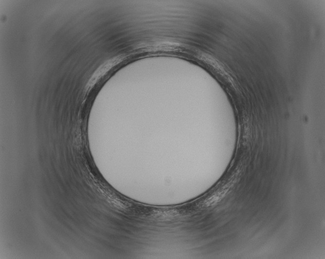 X0000073950978200609181357