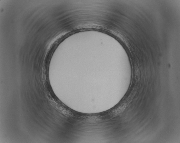 X0000073950979200609181357