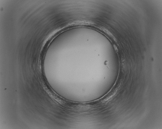 X0000073950981200609181357