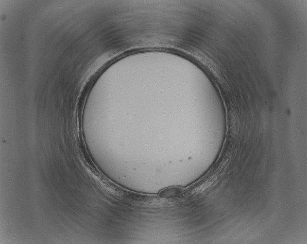 X0000073950982200609181357