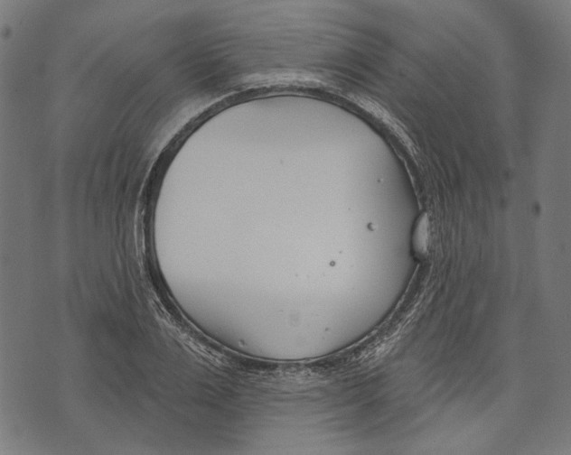 X0000073950983200609181357