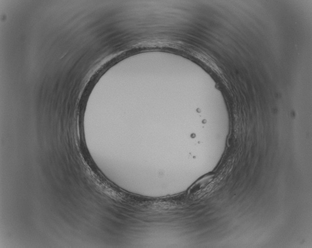 X0000073950984200609181357