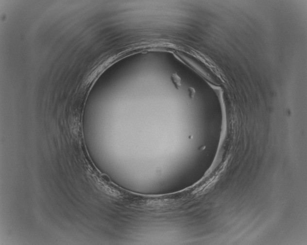 X0000073950985200609181357