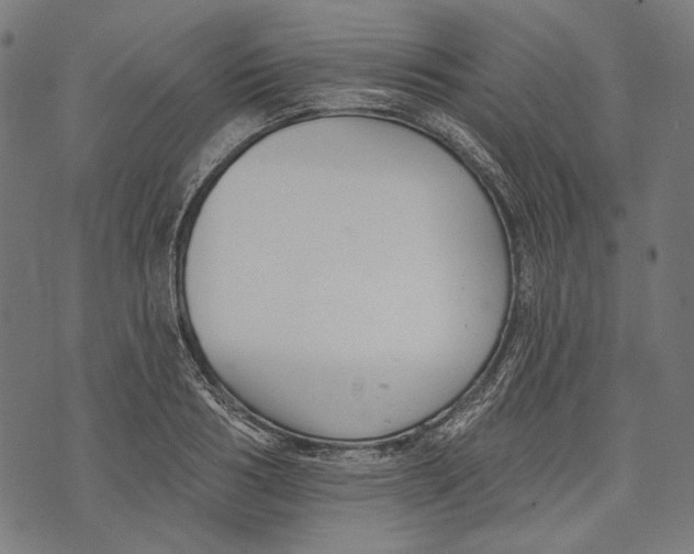 X0000073950986200609181357