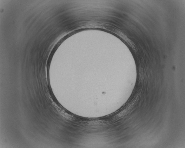 X0000073950988200609181357