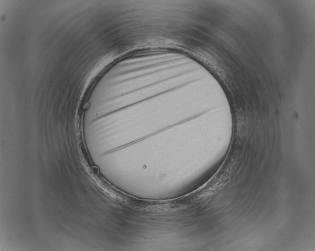 X0000073950990200609181356